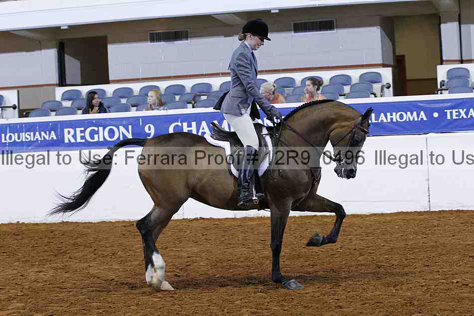 Proof 12r9_0496