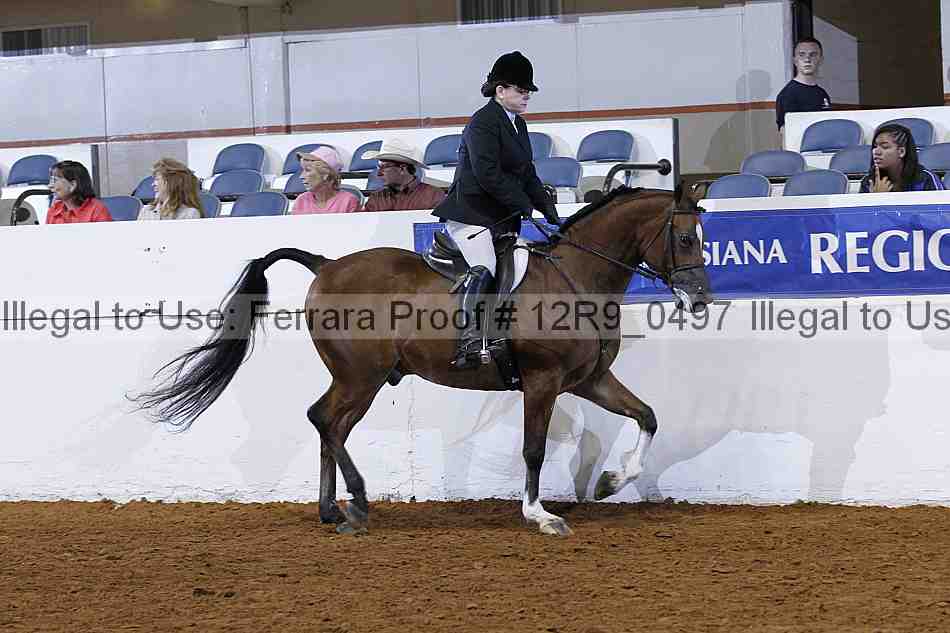 Proof 12r9_0497