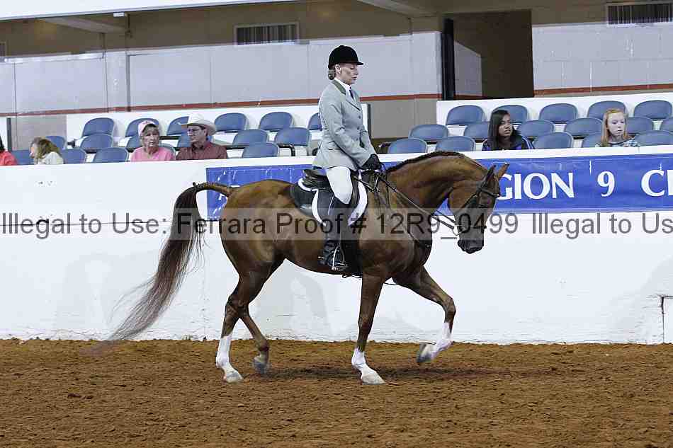 Proof 12r9_0499