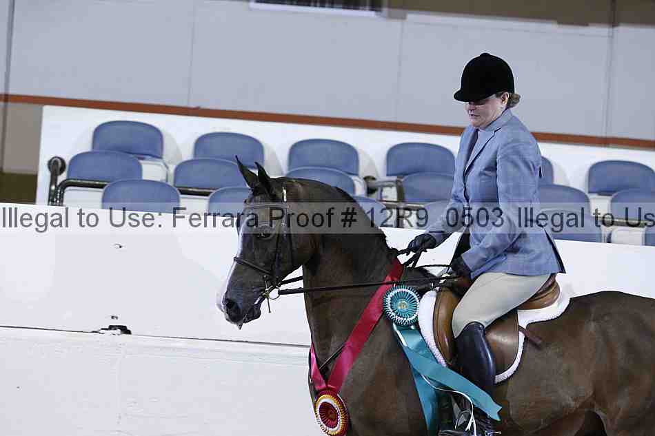 Proof 12r9_0503