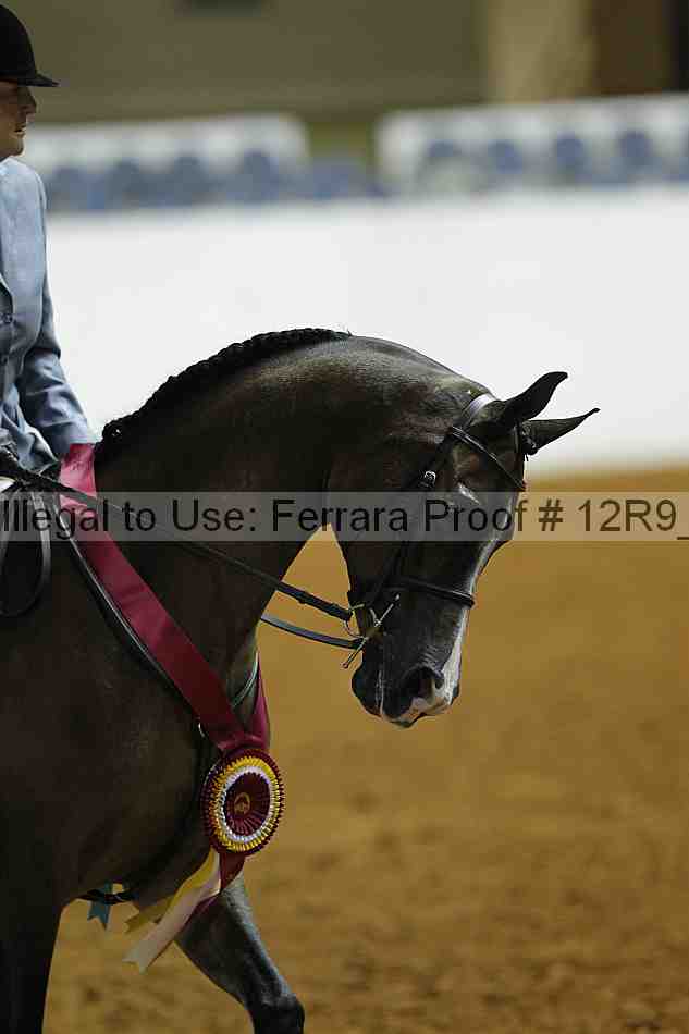 Proof 12r9_0507