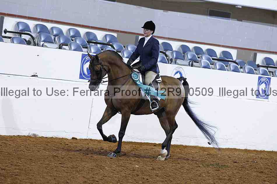Proof 12r9_0509