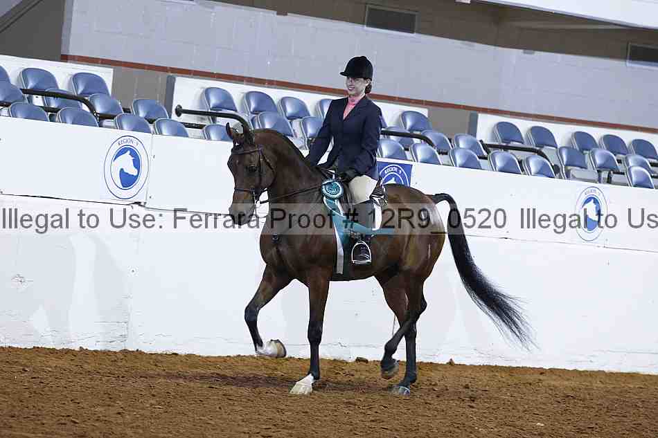 Proof 12r9_0520