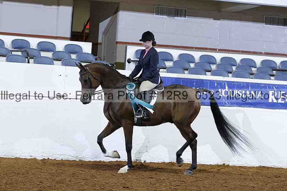 Proof 12r9_0523
