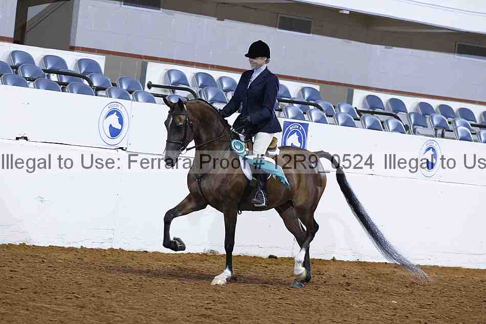 Proof 12r9_0524