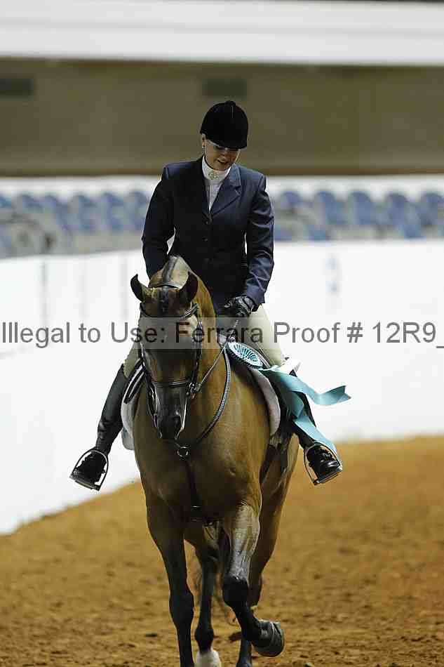 Proof 12r9_0527