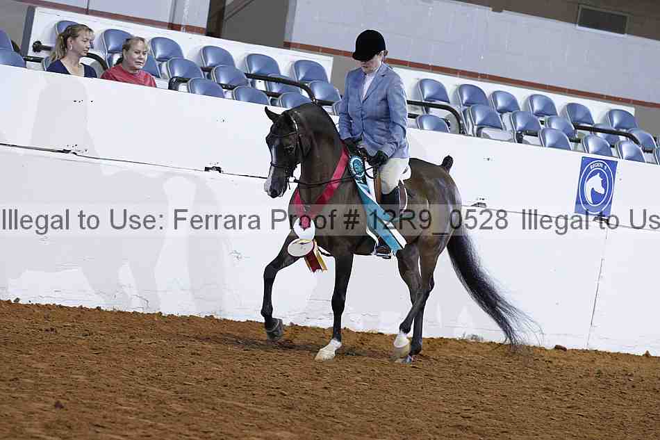 Proof 12r9_0528