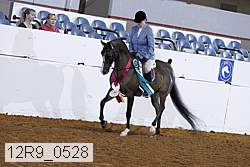 12r9_0528 proof