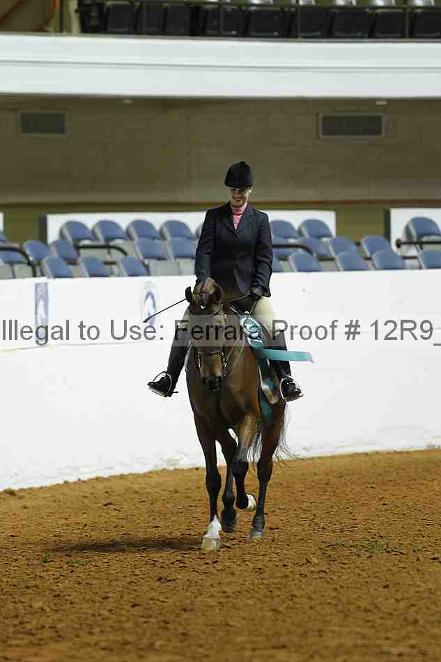 Proof 12r9_0529