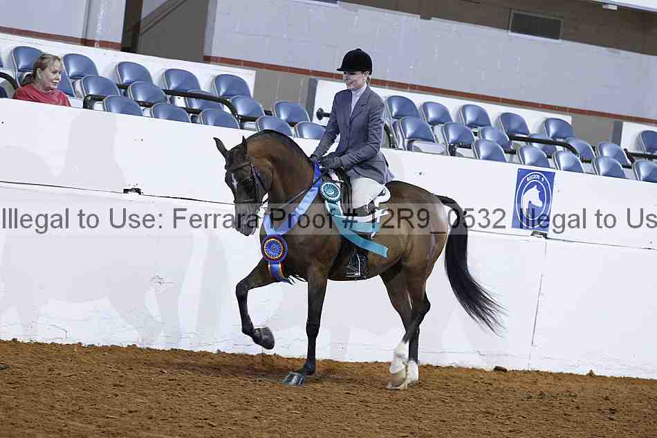 Proof 12r9_0532