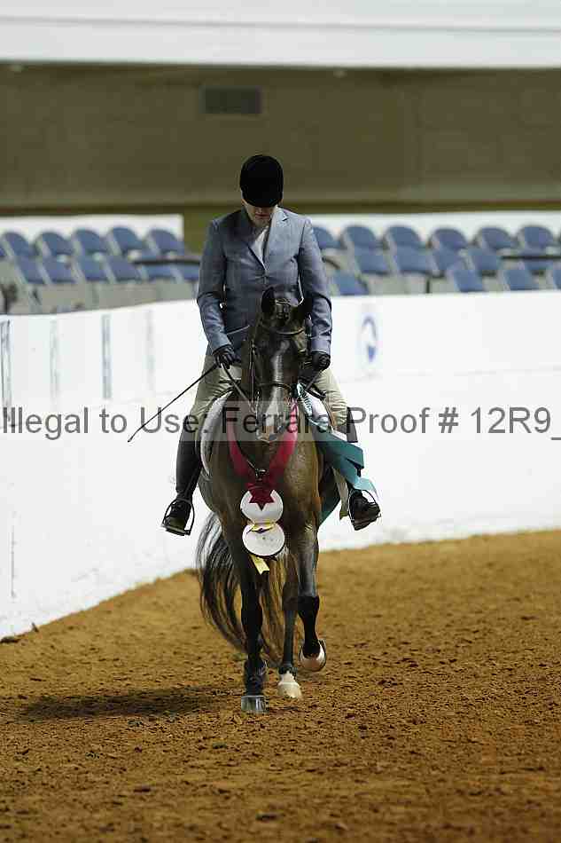 Proof 12r9_0535
