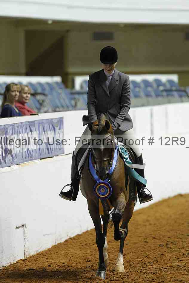 Proof 12r9_0538