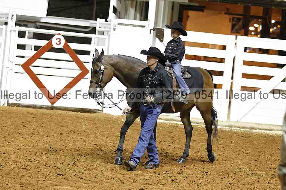 Proof 12r9_0541