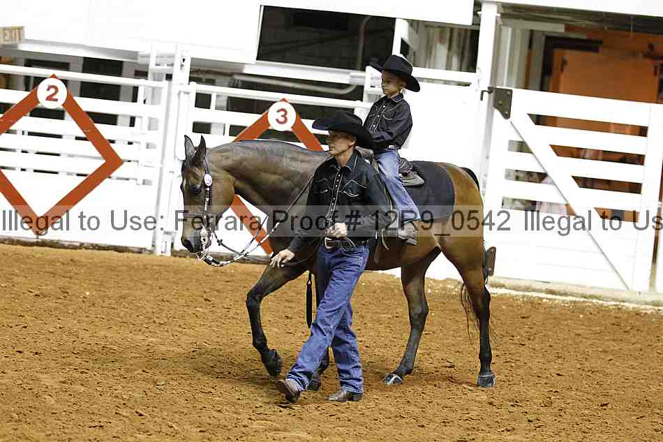 Proof 12r9_0542