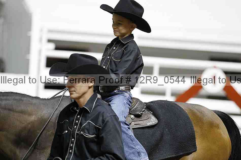 Proof 12r9_0544