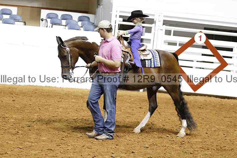 Proof 12r9_0545