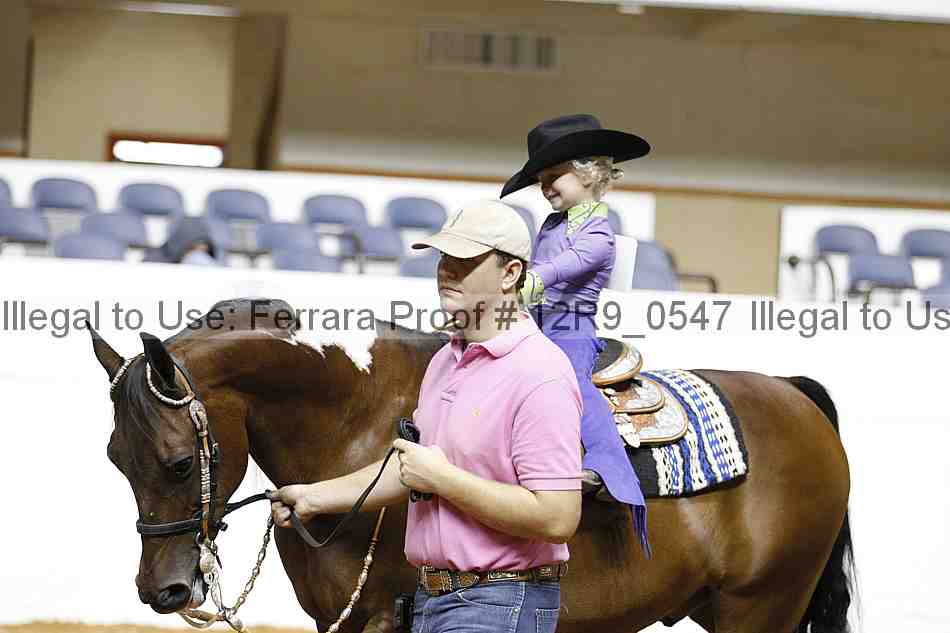 Proof 12r9_0547