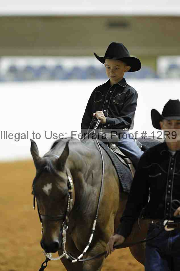 Proof 12r9_0556