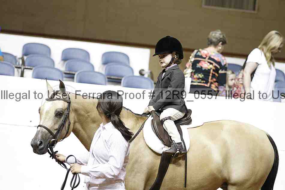 Proof 12r9_0557