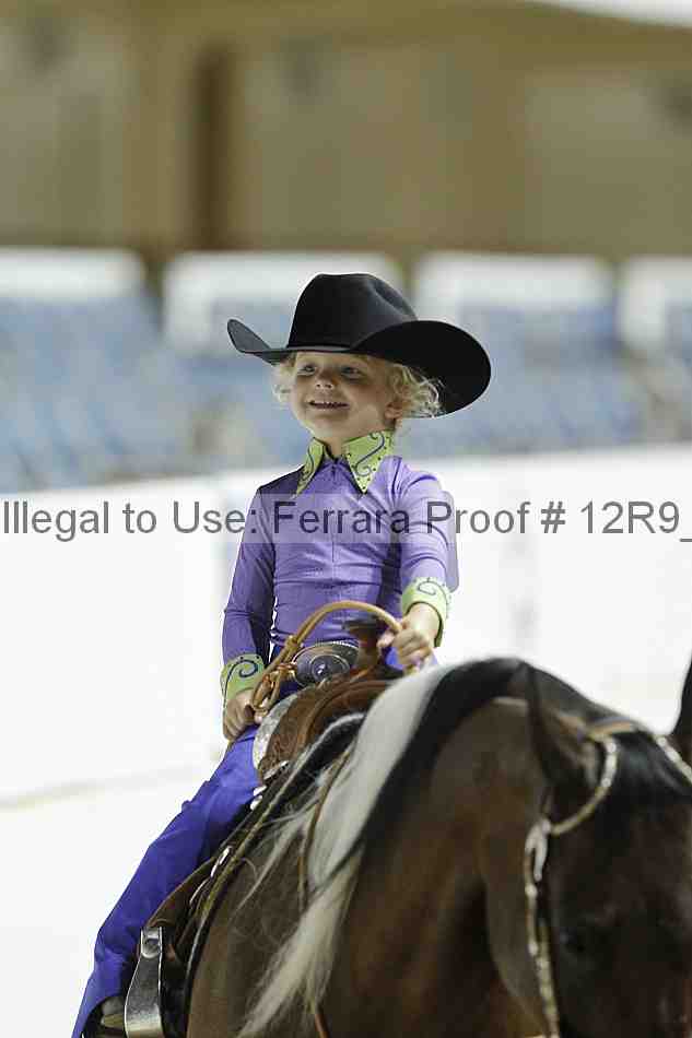 Proof 12r9_0565
