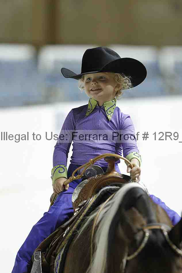 Proof 12r9_0568