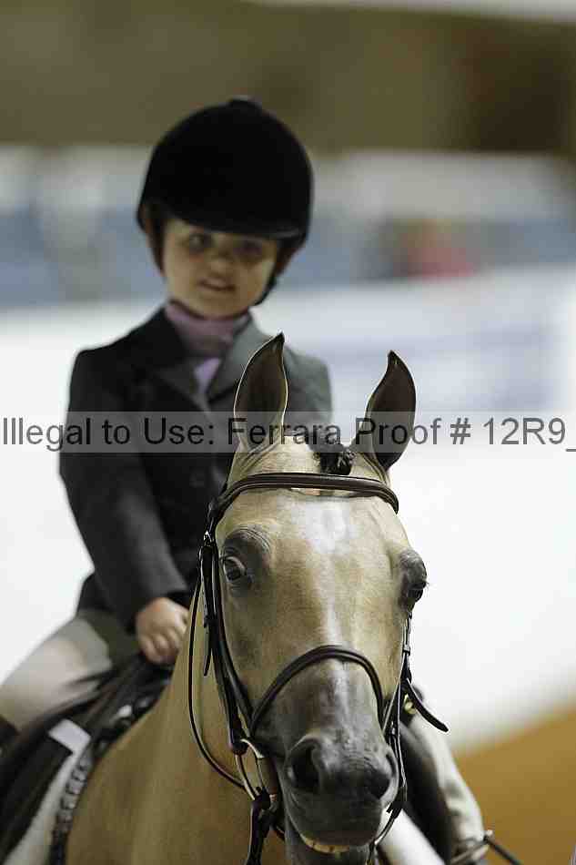 Proof 12r9_0588