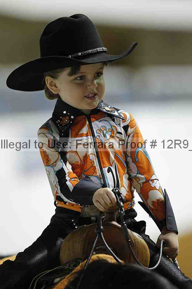 Proof 12r9_0597