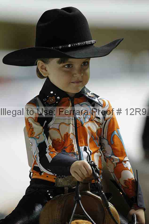 Proof 12r9_0599