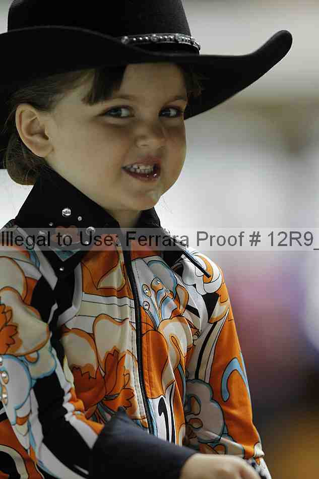 Proof 12r9_0601