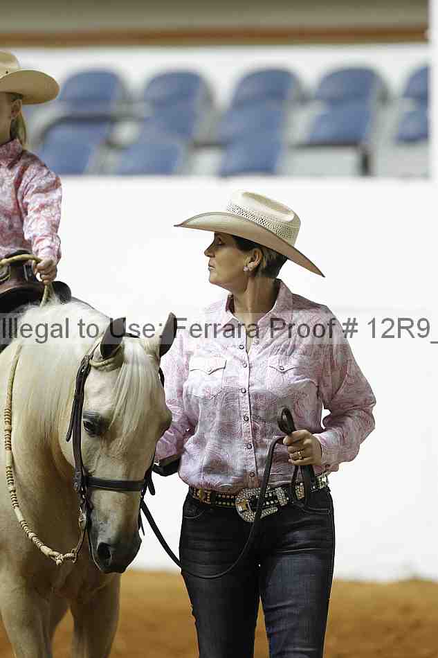 Proof 12r9_0610