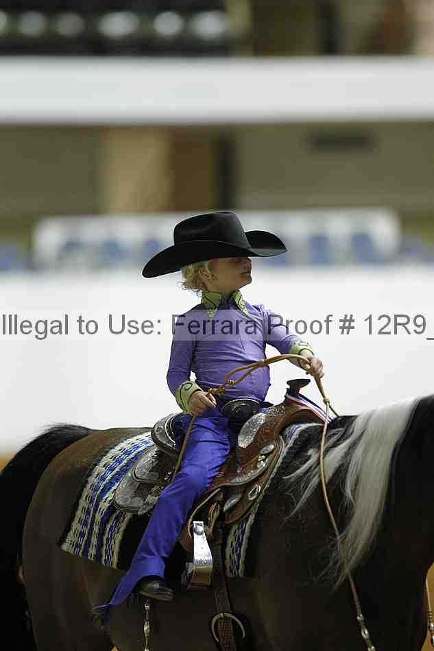 Proof 12r9_0639
