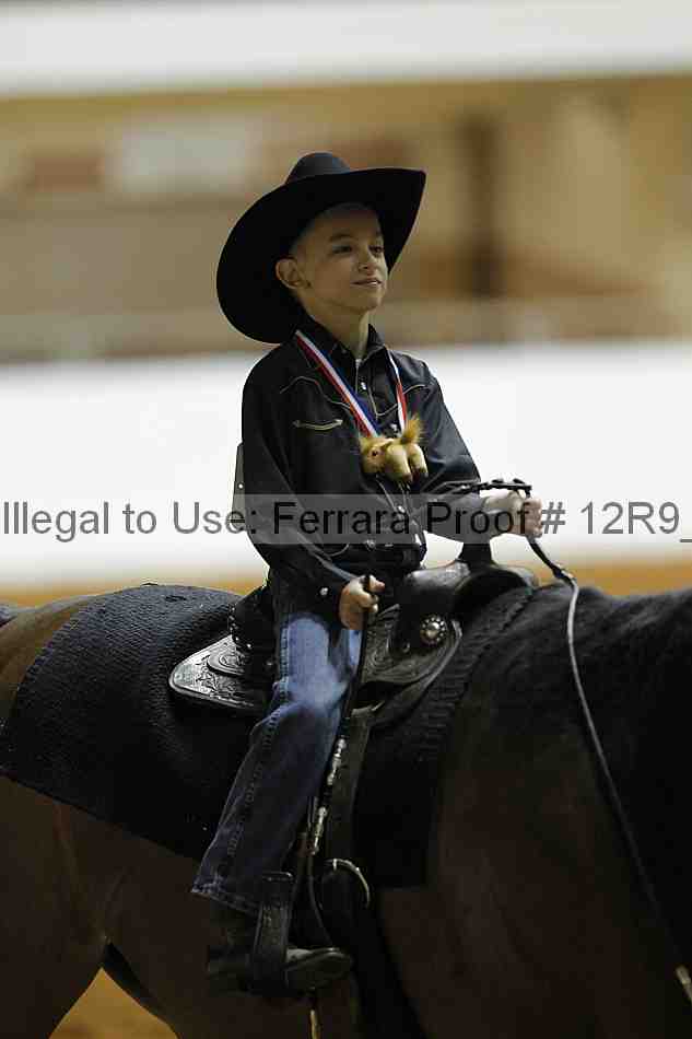 Proof 12r9_0642