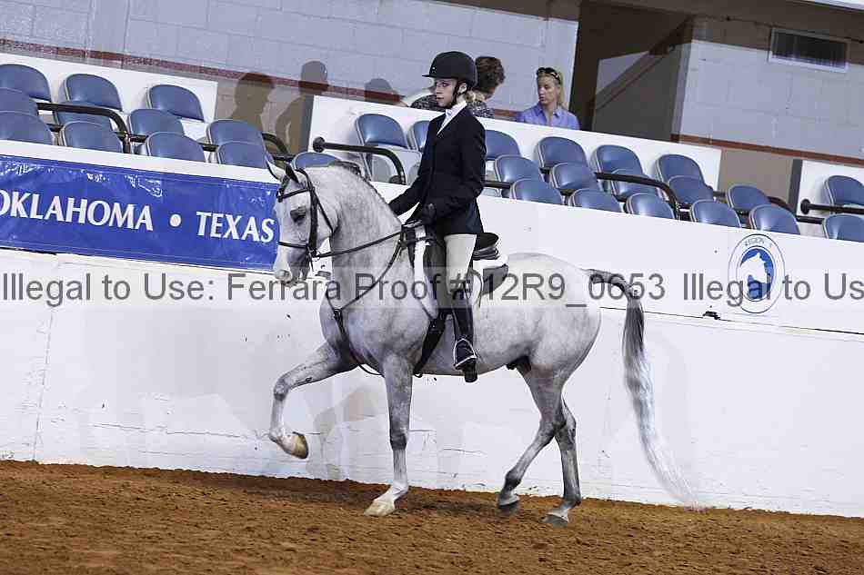 Proof 12r9_0653