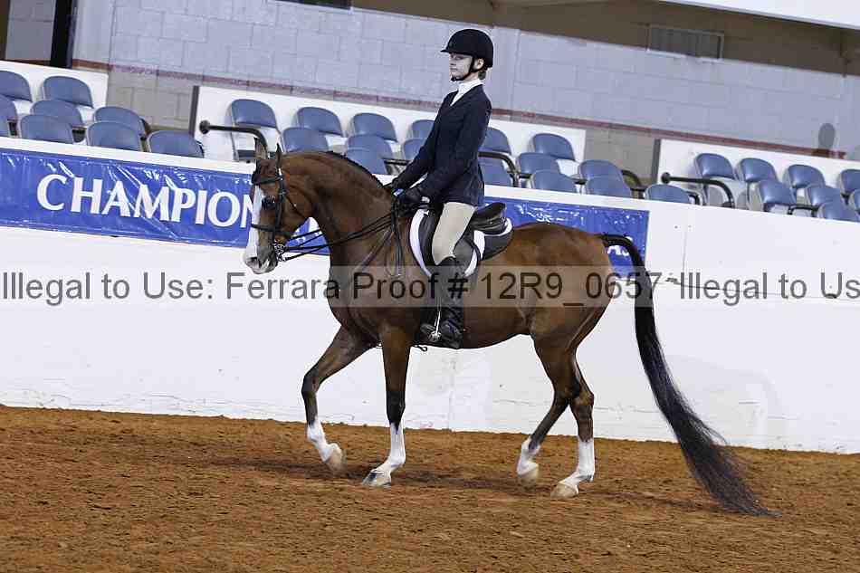Proof 12r9_0657