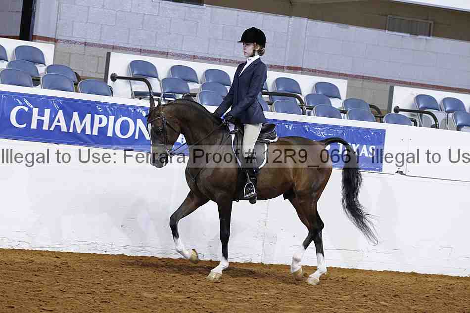 Proof 12r9_0661