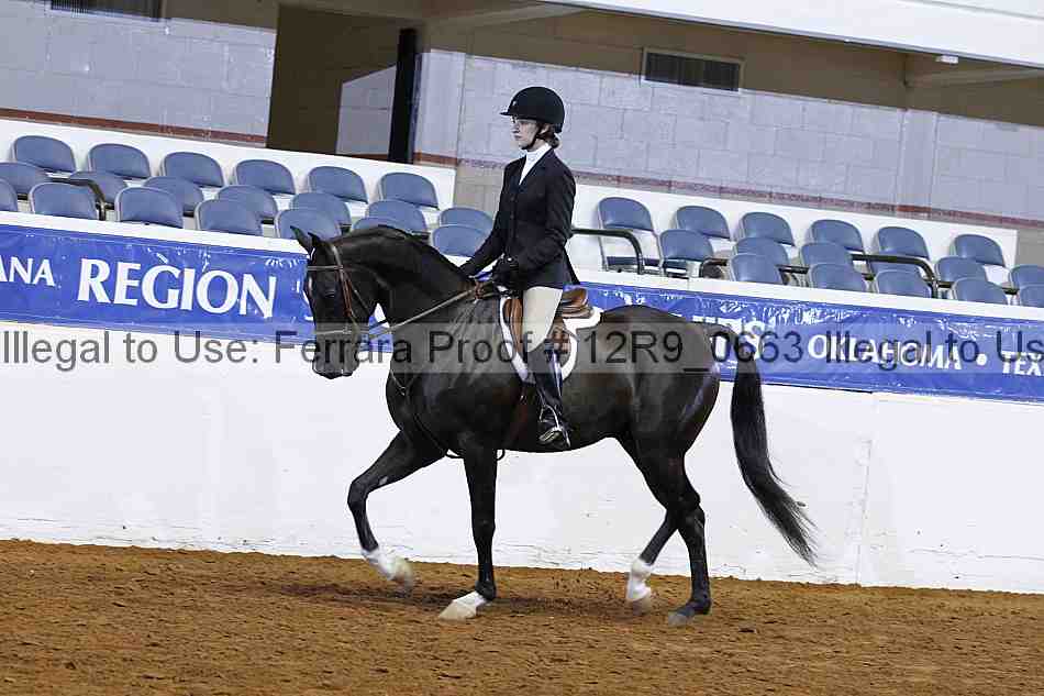 Proof 12r9_0663