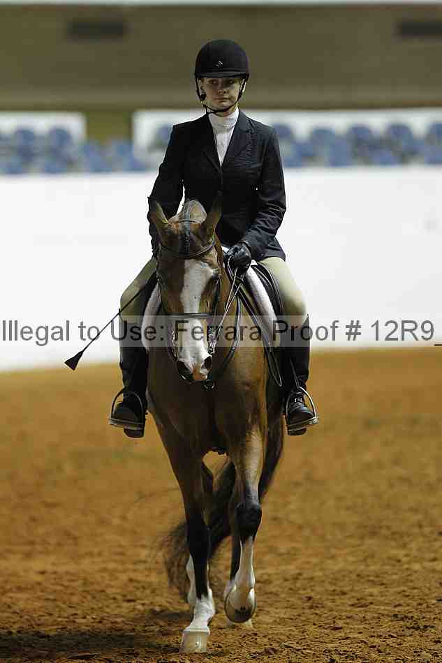 Proof 12r9_0668
