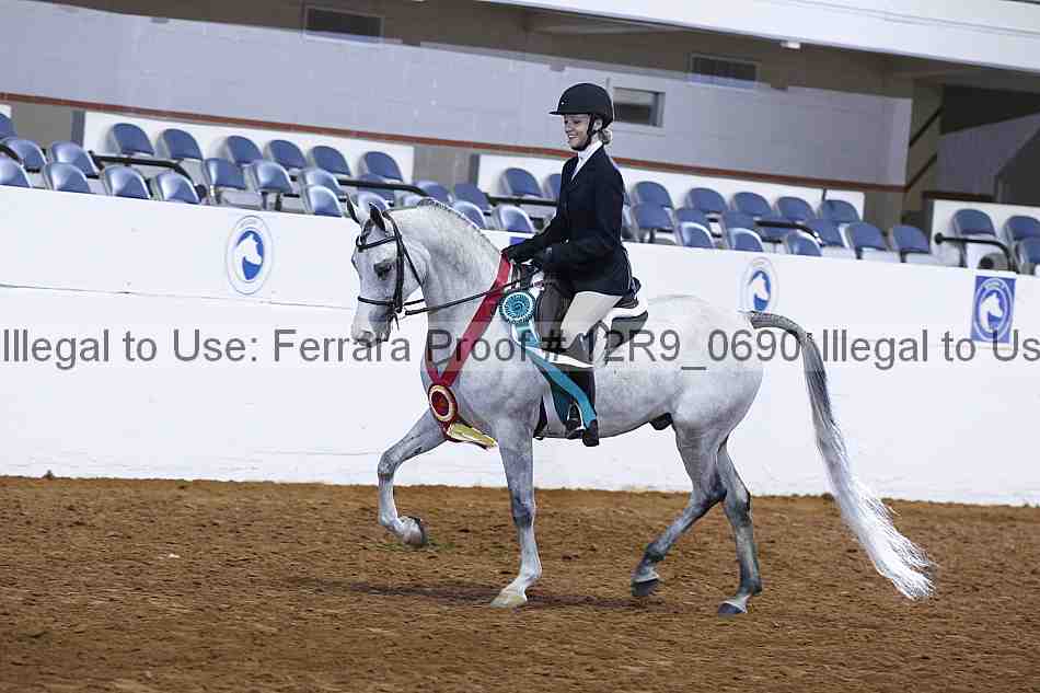 Proof 12r9_0690