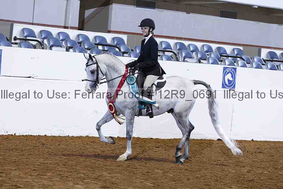 Proof 12r9_0691