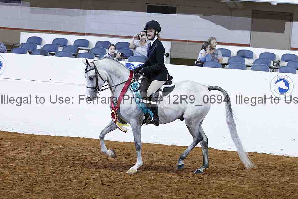 Proof 12r9_0694