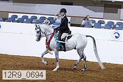 12r9_0694 proof