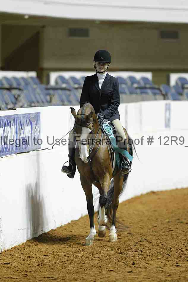 Proof 12r9_0695