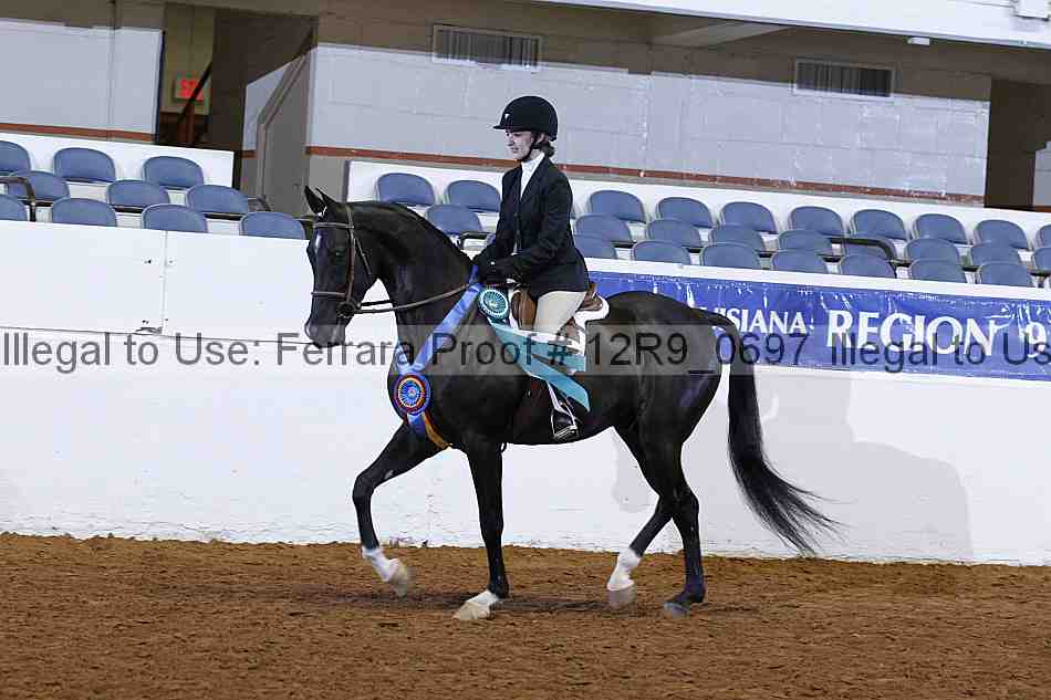 Proof 12r9_0697