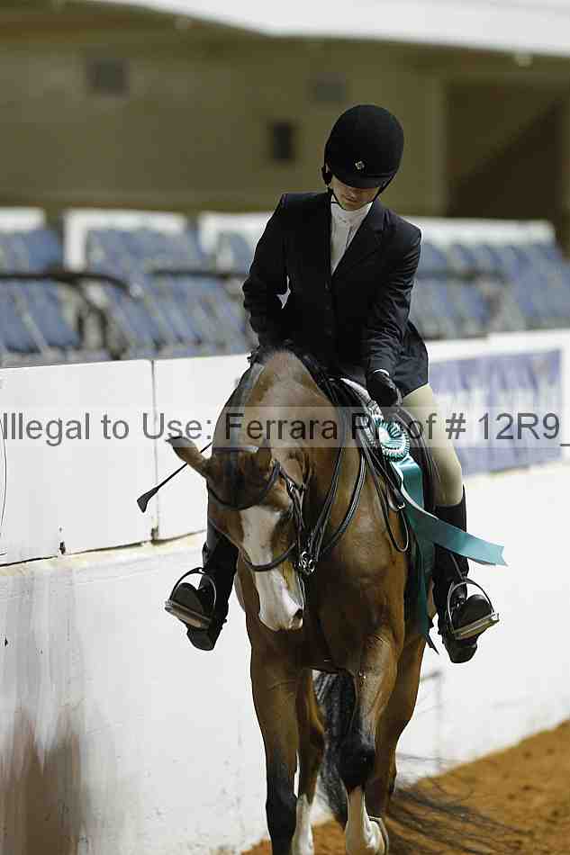Proof 12r9_0698