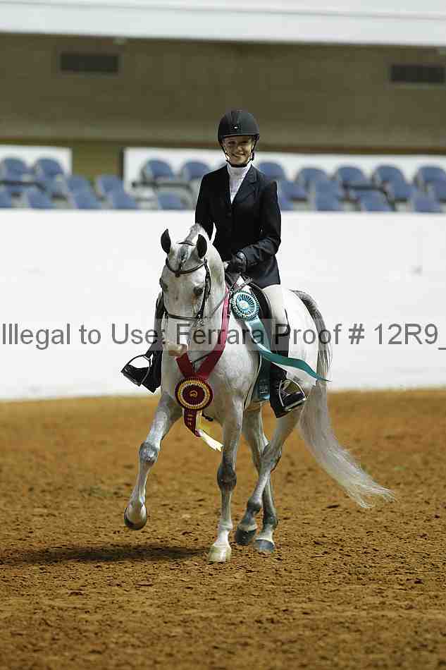 Proof 12r9_0699