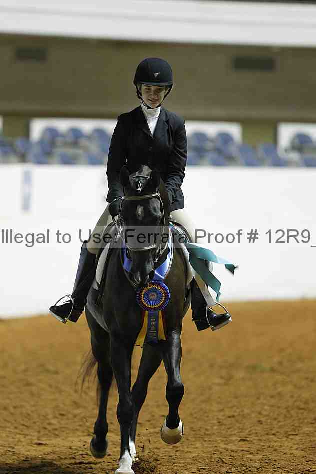 Proof 12r9_0706