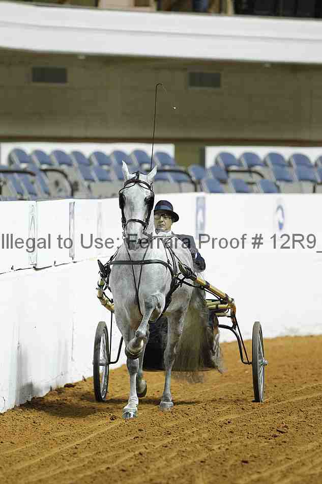 Proof 12r9_0723