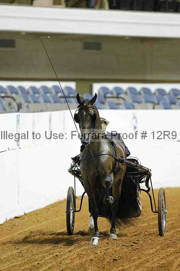 Proof 12r9_0726