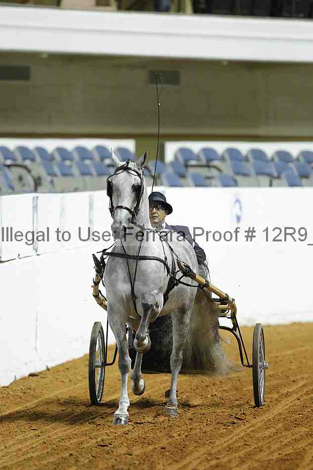 Proof 12r9_0729