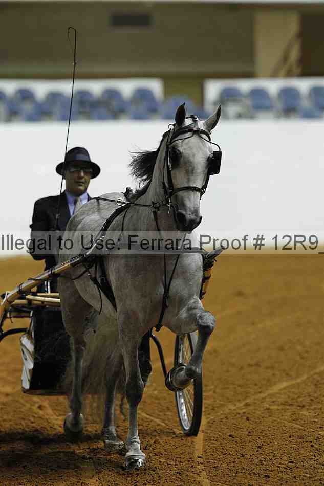 Proof 12r9_0752